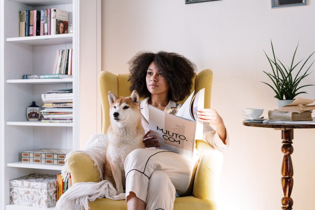 Interior design, living room, minimalism, home, pet, chair.